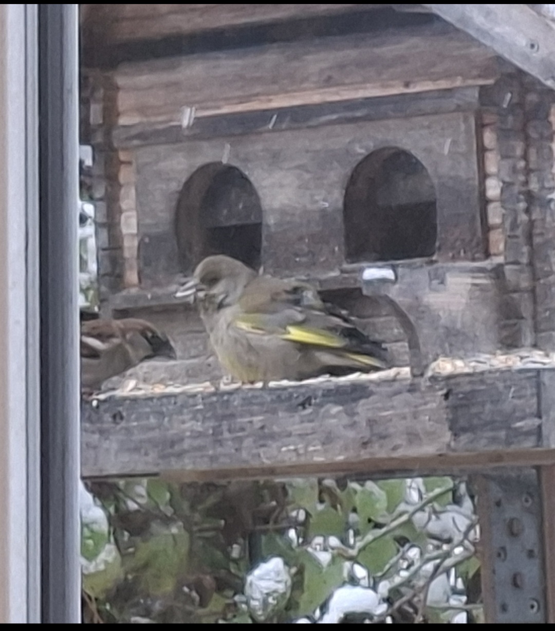 Screenshot 20251123 174928 Gallery