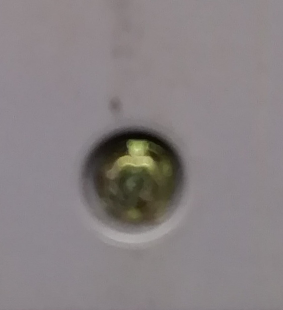 IMG 20251017 100910