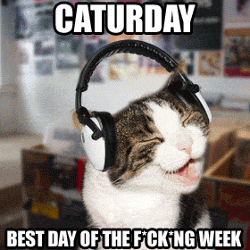 caturday-best-day-of-the-week-cat-dancin
