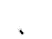 t00fef7 7e7f9a fliege