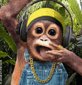 Monkey-Listening-Music-Funny-Gif 3