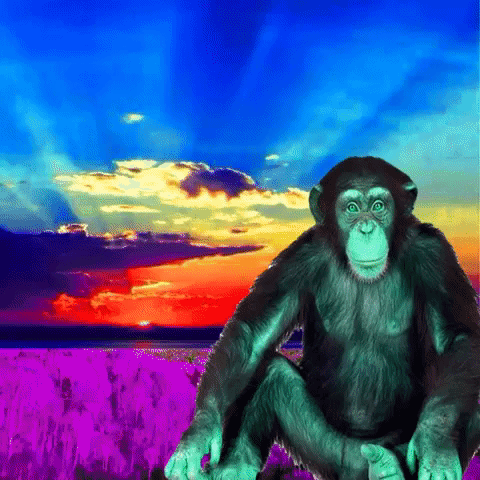 ape trippy