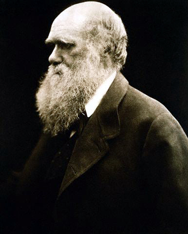 Charles Darwin by Julia Margaret Cameron