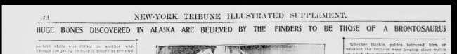 Screenshot 2019-12-30 New-York tribune v