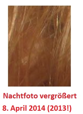 Ohr von wem
