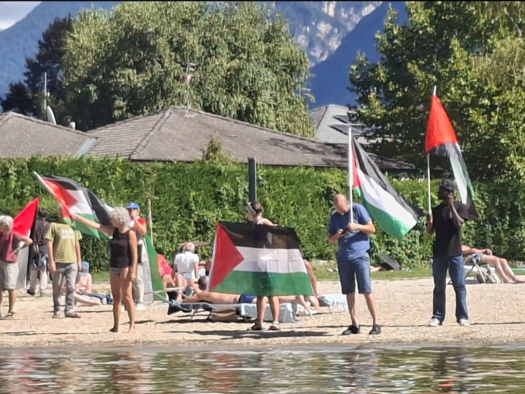 Screenshot 20260305 074341 Gallery