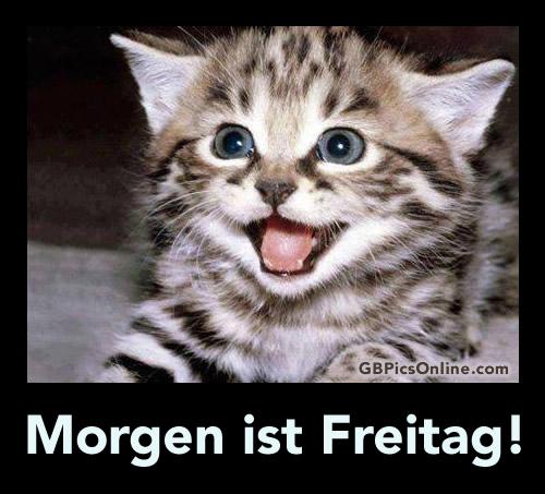 morgen-ist-freitag 005