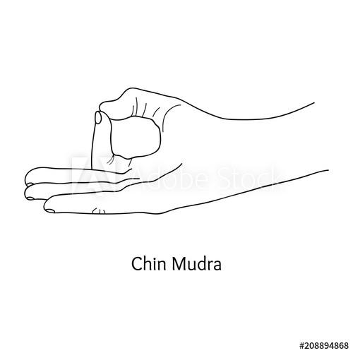 chin