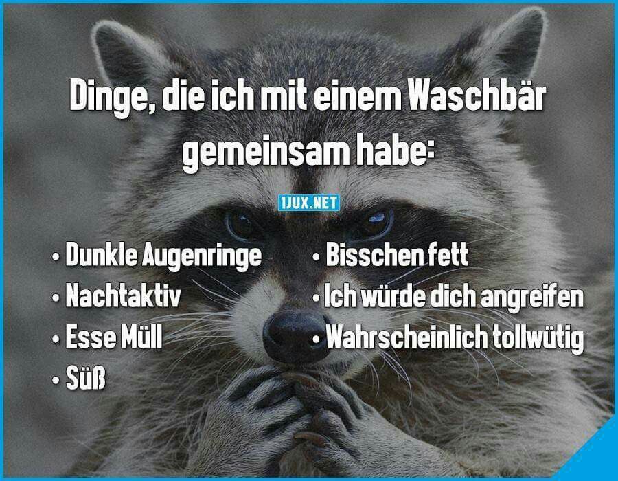 waschbr m - Copy