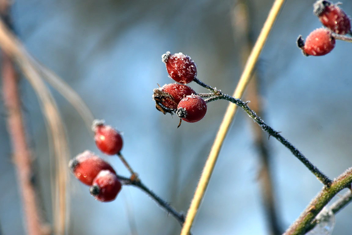 737b1811-b62a-42f1-b9b7-6c555bf8fed0