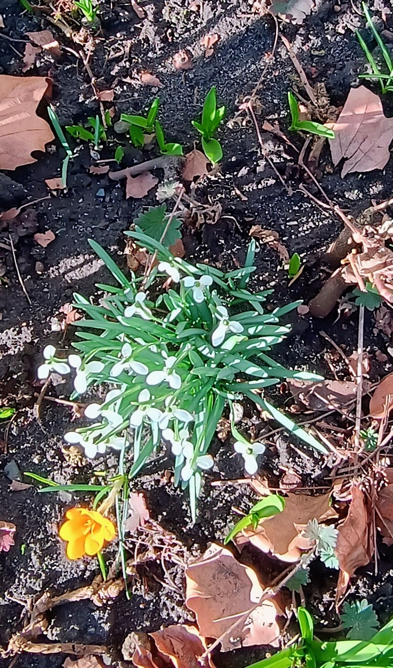 IMG 20260208 144216241 HDR AE2