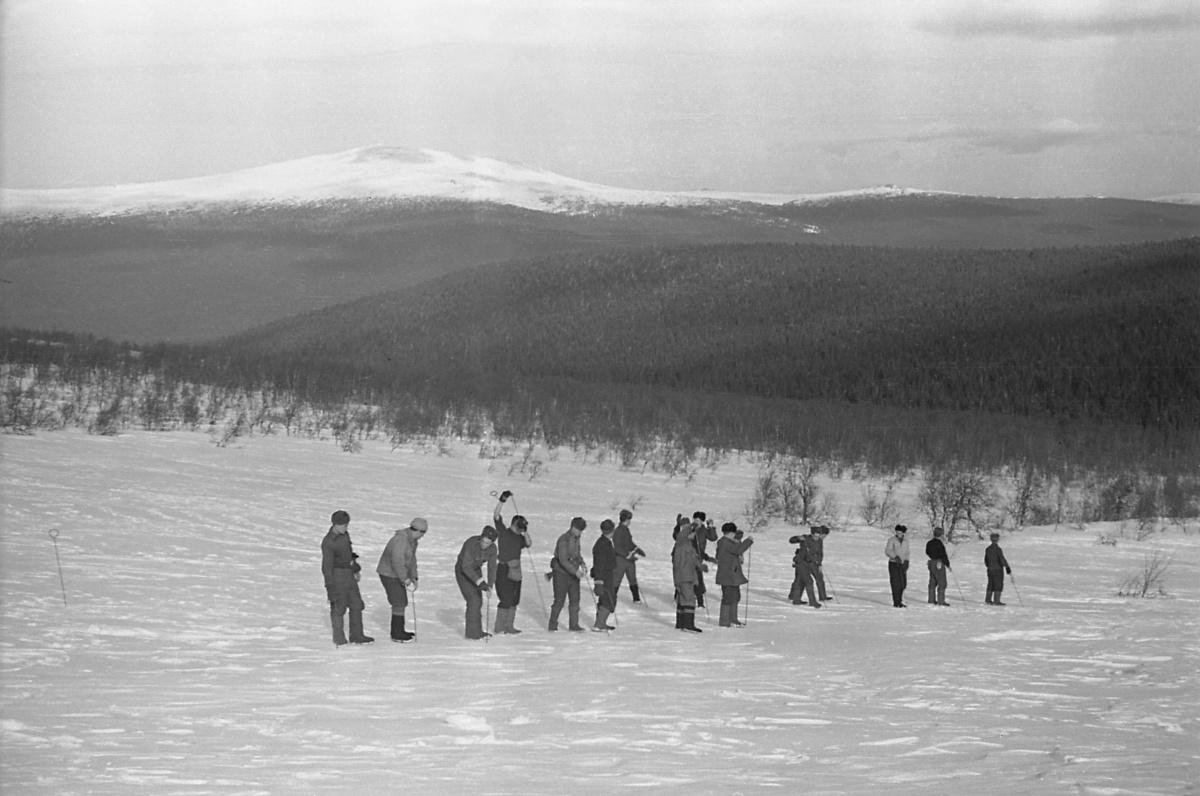 Dyatlov-pass-1959-search-241