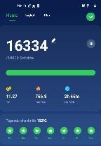 Screenshot 20210916-201903 Pedometer Ste