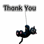 thank-you-black-cat-ag11