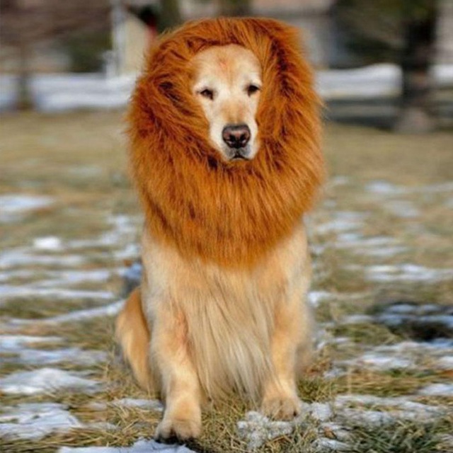 Pet-Costume-Lion-Mane-Wig-For-Pet-Dogs-C