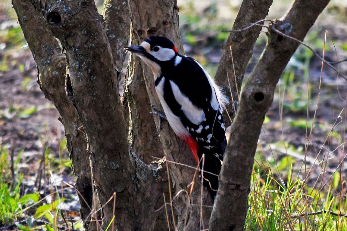 00b20f75-084e-49e7-baaf-3c9338582ece