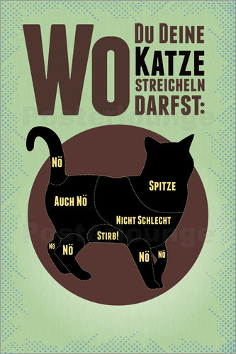 poster-wo-du-deine-katze-streicheln-darf