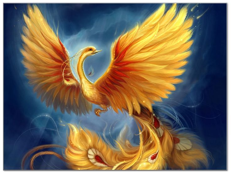 Phoenix aus der Asche