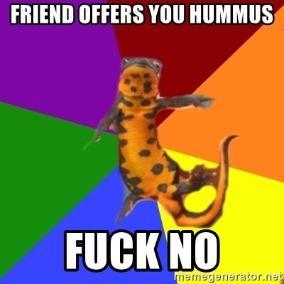 friend-offers-you-hummus-fuck-no