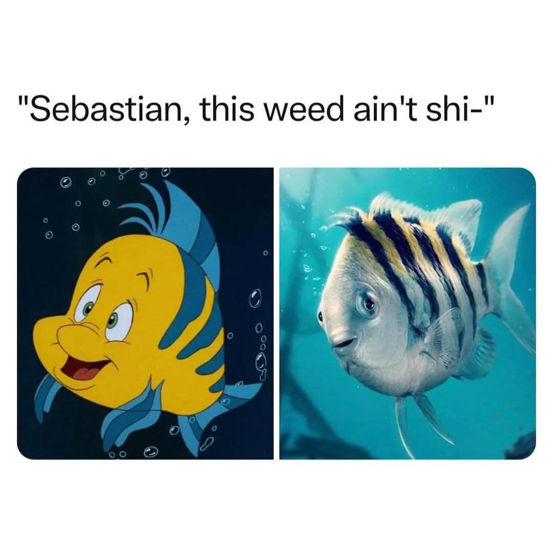 IMG 20260413 223209 275