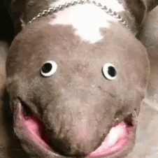 whaaaat-weird