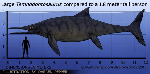 temnodontosaurus-size