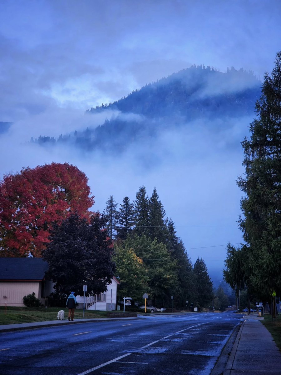 Herbst in WashState - Copy