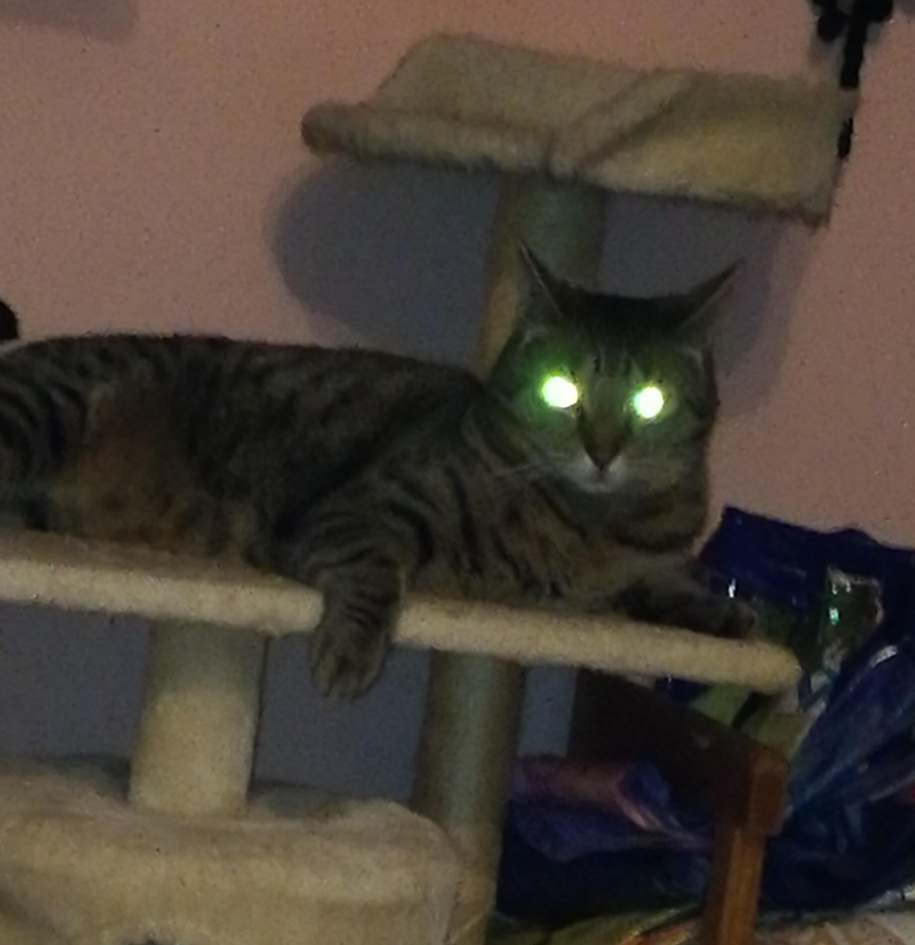 jlejweokm2ok IMG 20220518 030419