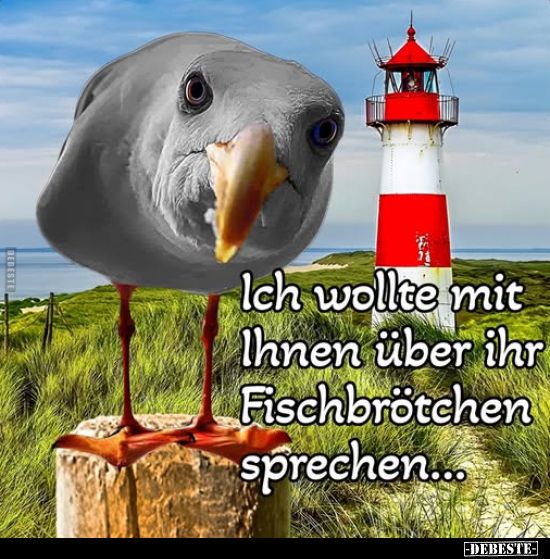 518331786 1107722354609051 1074944178304