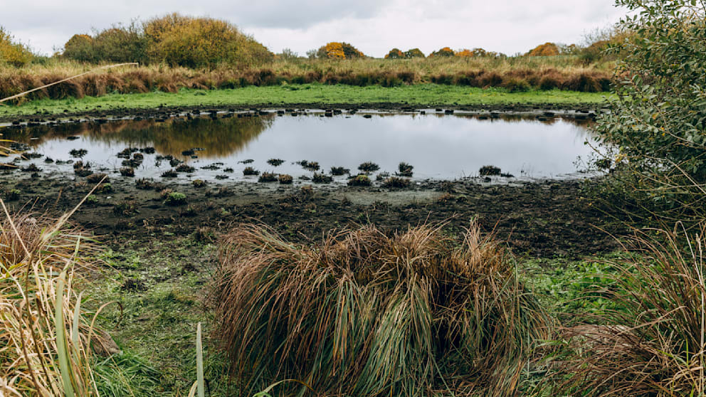 f132cb1bce253f22ad5d66f0e0e4ce4a89a45946