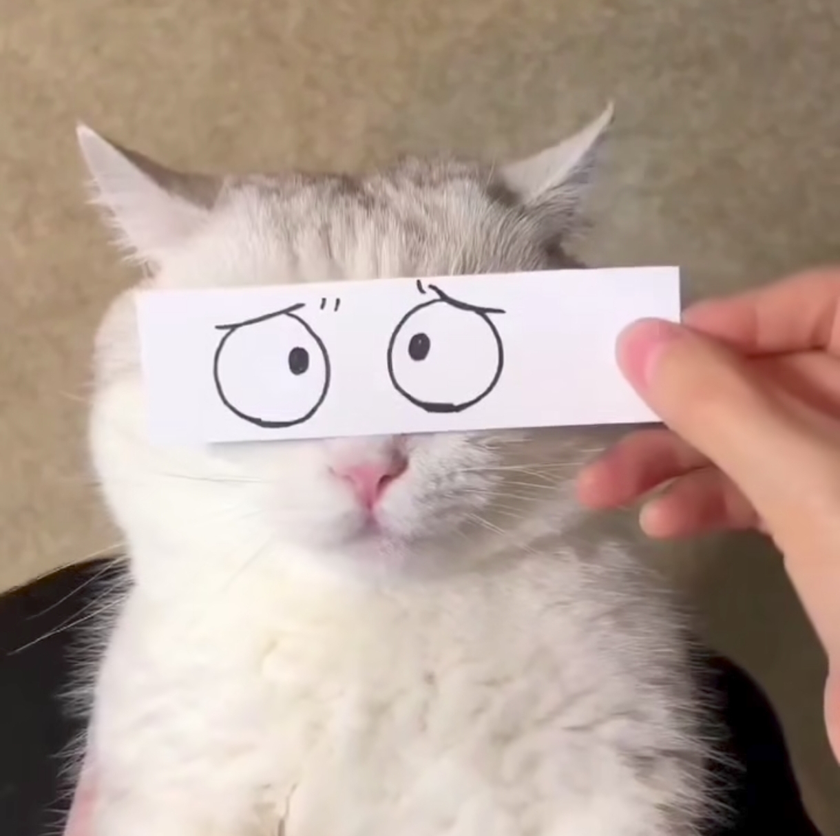 Screenshot 2025-12-24-14-41-55-167 com.i