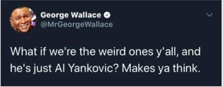 weird al yankowich