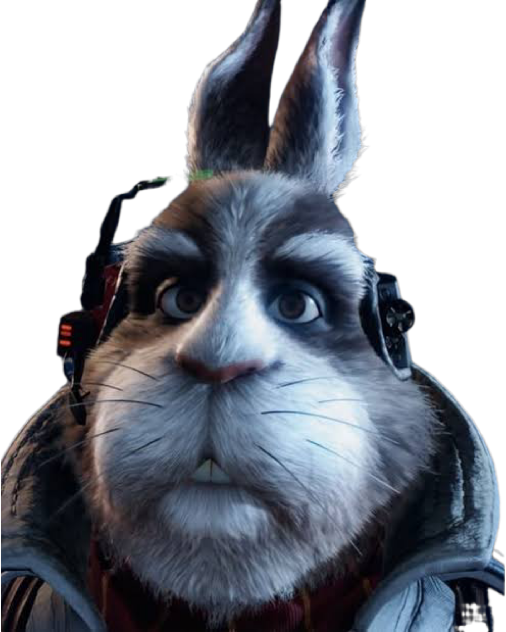 auug6qwxdgyq_BackgroundEraser_20260513_080245180.png