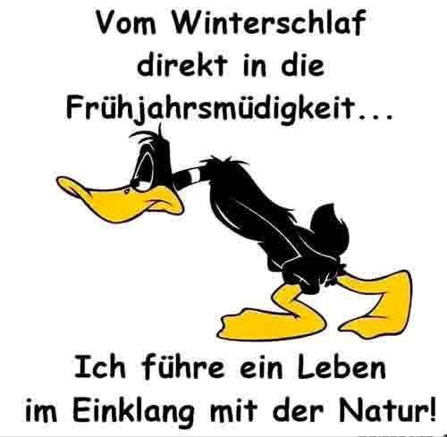 7164012-d0e49a2857853a67d42e33be538ee68f