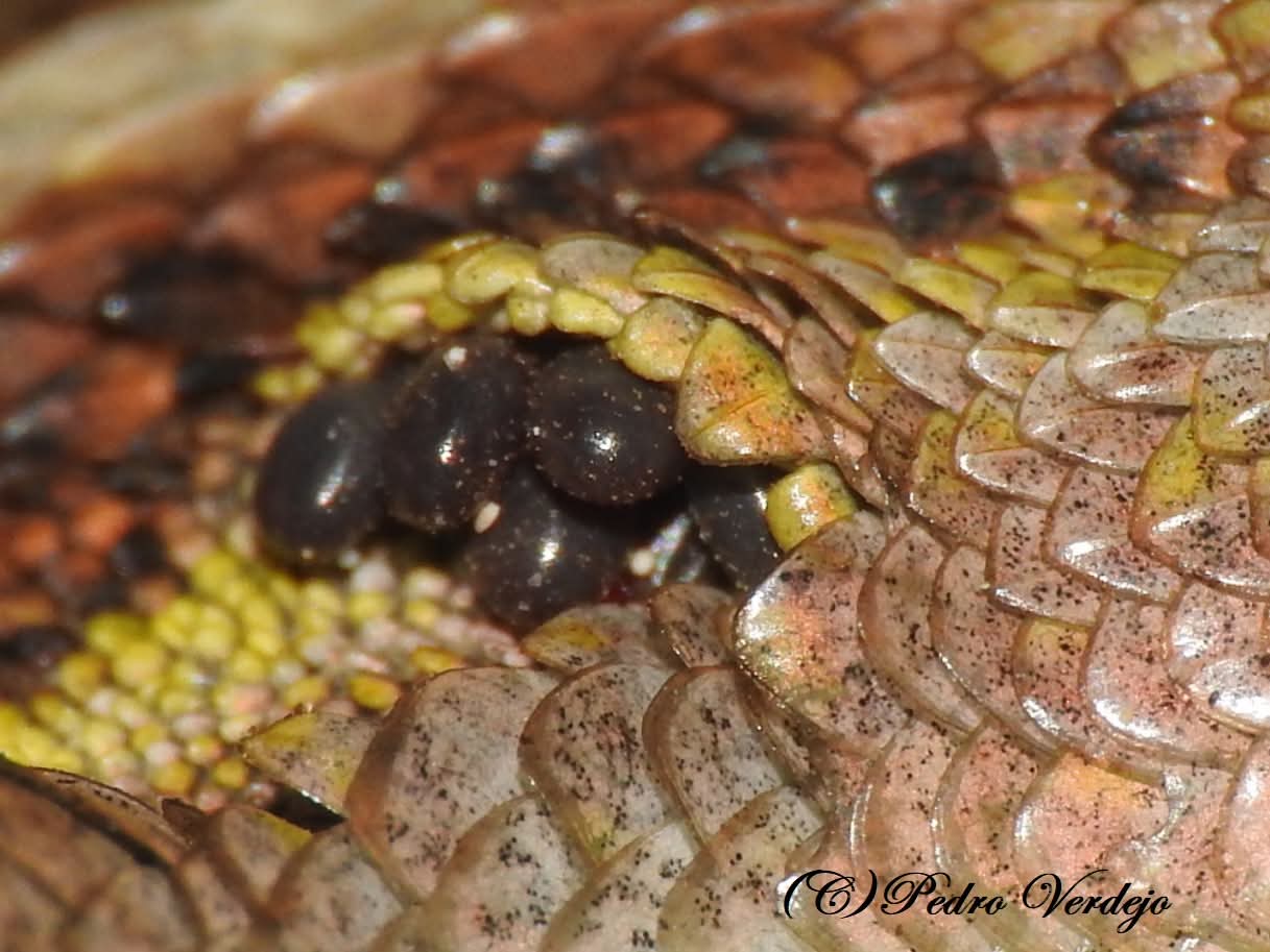 FB IMG 1761825173609