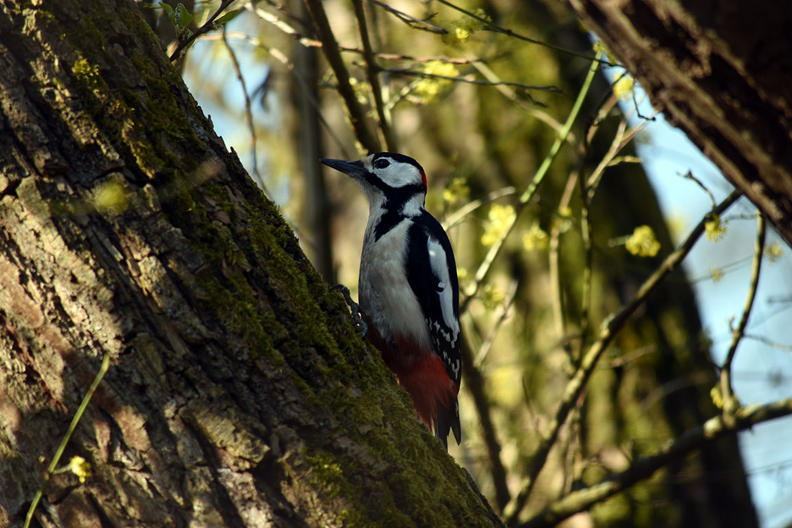 89381c5e-115c-4c3a-be57-d3636db61c48