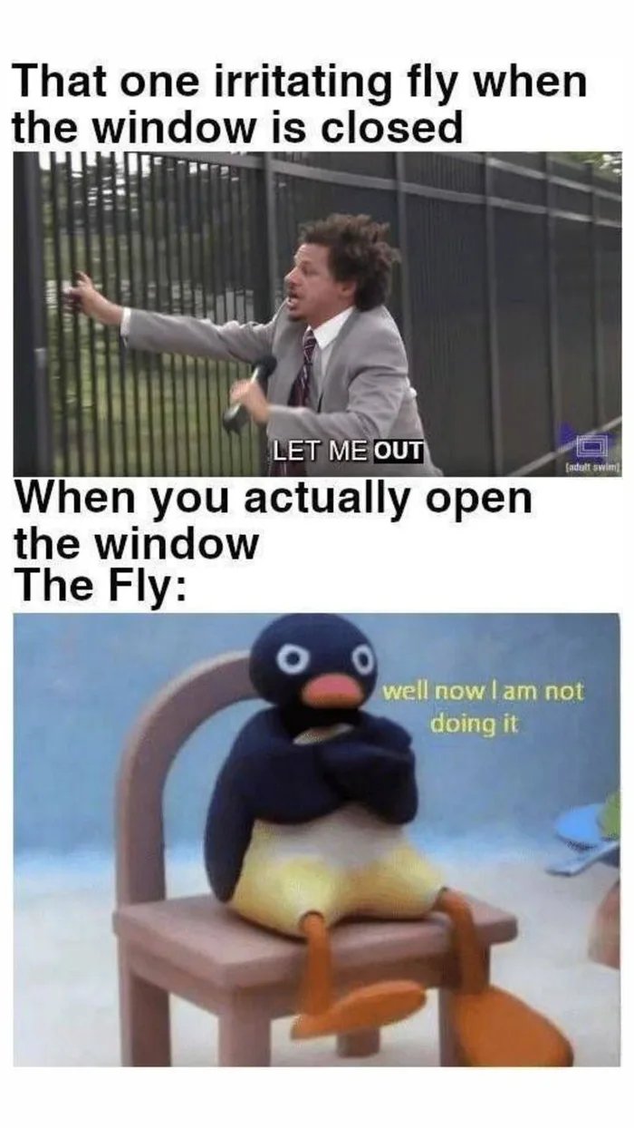 1000040031