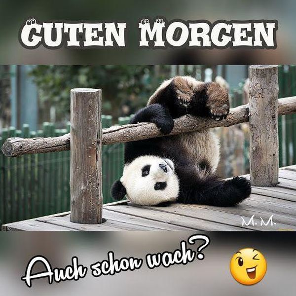 Witzige-Guten-Morgen-Bilder-8