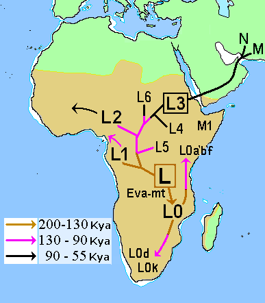 African Mitochondrial descent