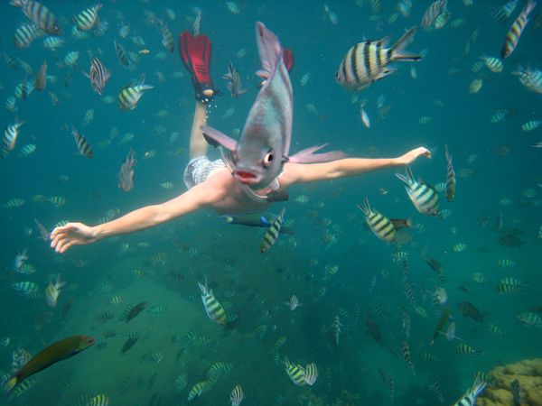 snorkeler-underwater-thailand 29425 600x