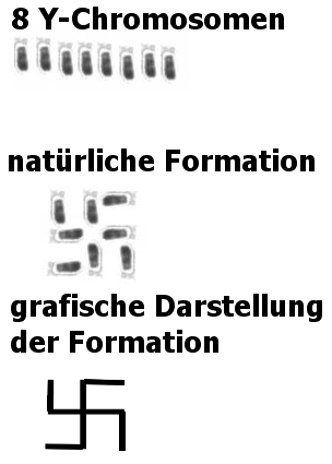 Darstellung