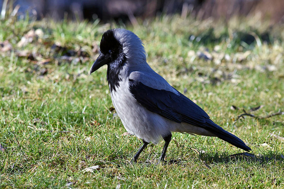 9c5a5440-97b3-4316-bc56-e9062e725a81