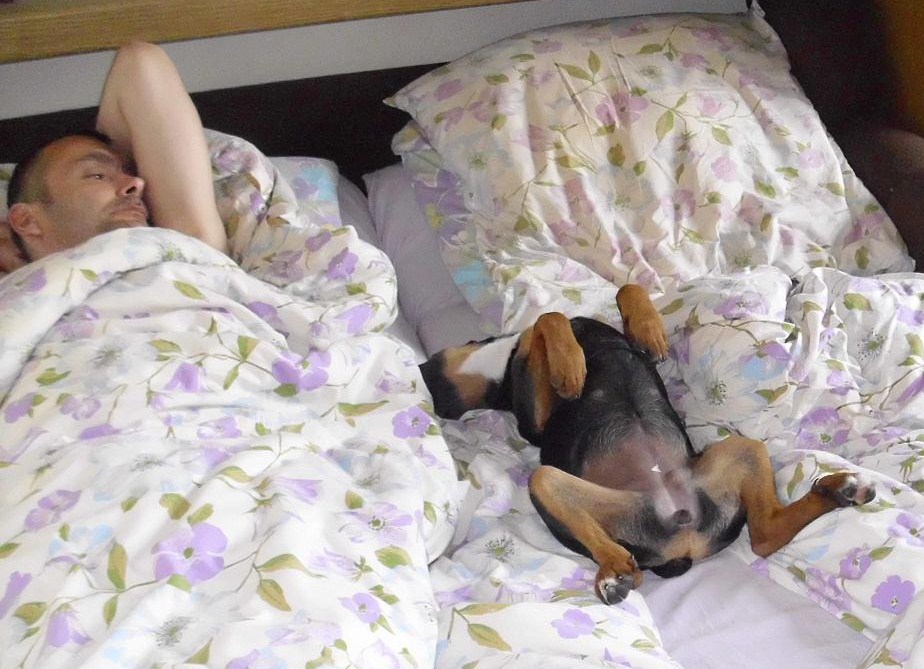 0ed045 nachmittagsschlaf 004 - Kopie