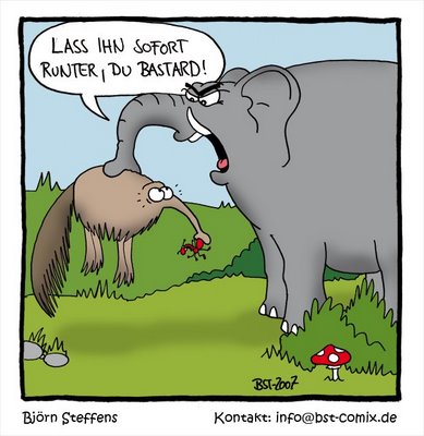 elefant