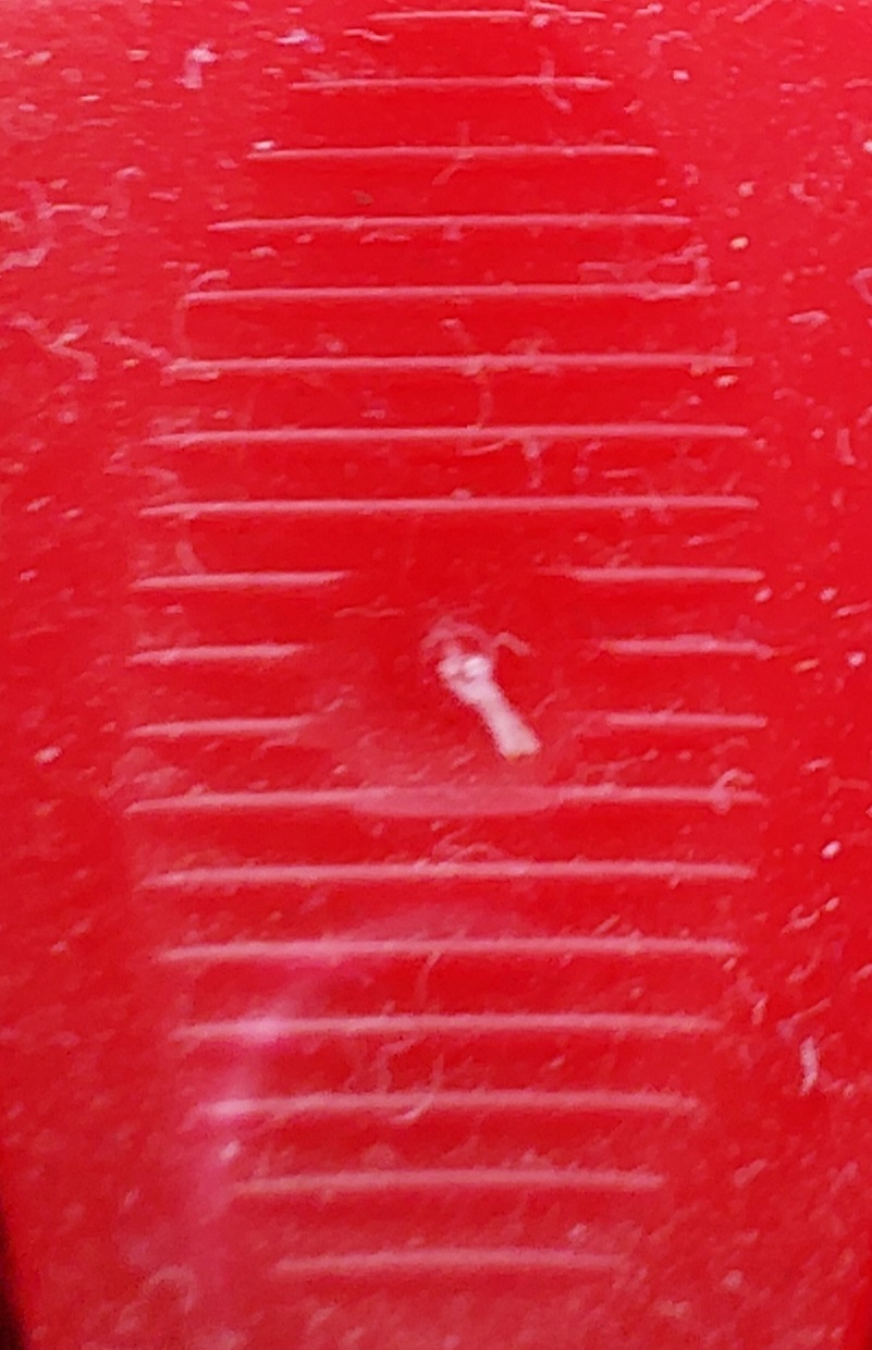 20260630 165148