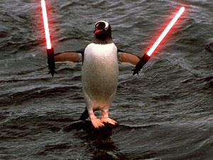 a darth pinguin