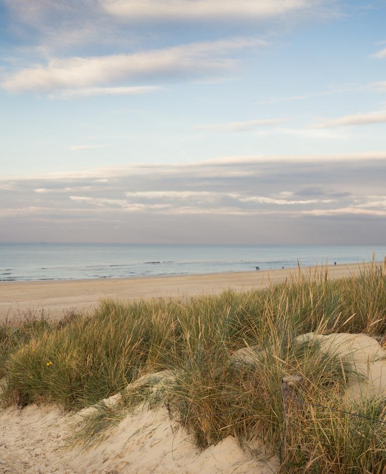 Langeoog Herbst 2015 170 von 145