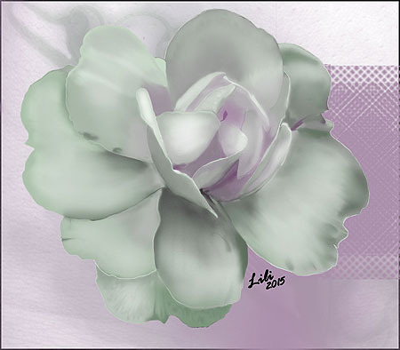 Rose-1-Lili-2015-px-450 zpskjqtbfki