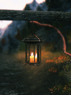 forest night lamp