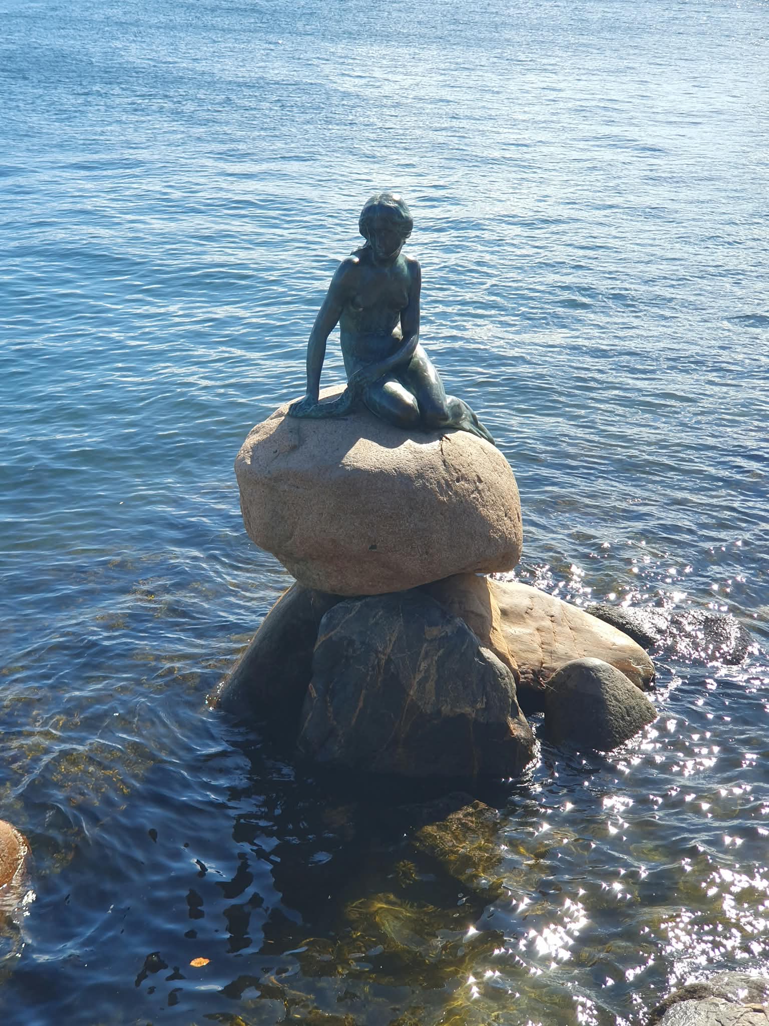 IMG-20260910-WA0031
